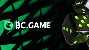 Understanding BC CO Mirror A Comprehensive Guide